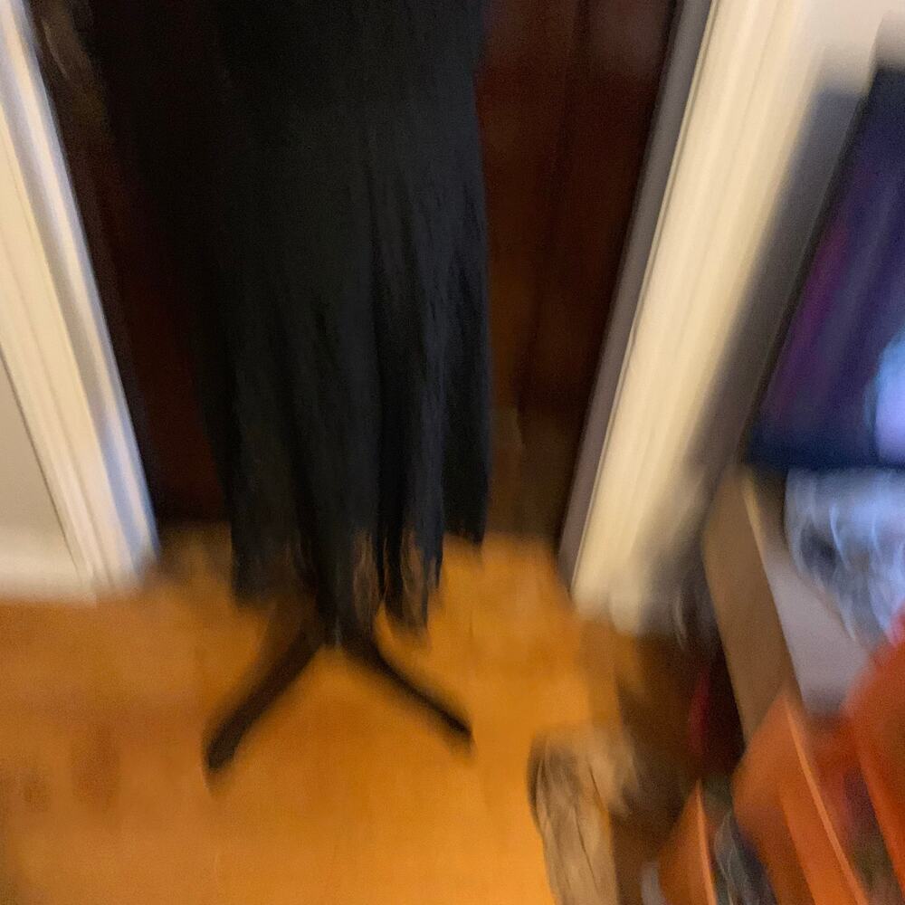 Black Floral Lace Sleeveless Fit and Flare Dress Max Studio Size 4 - Picture 6 of 8